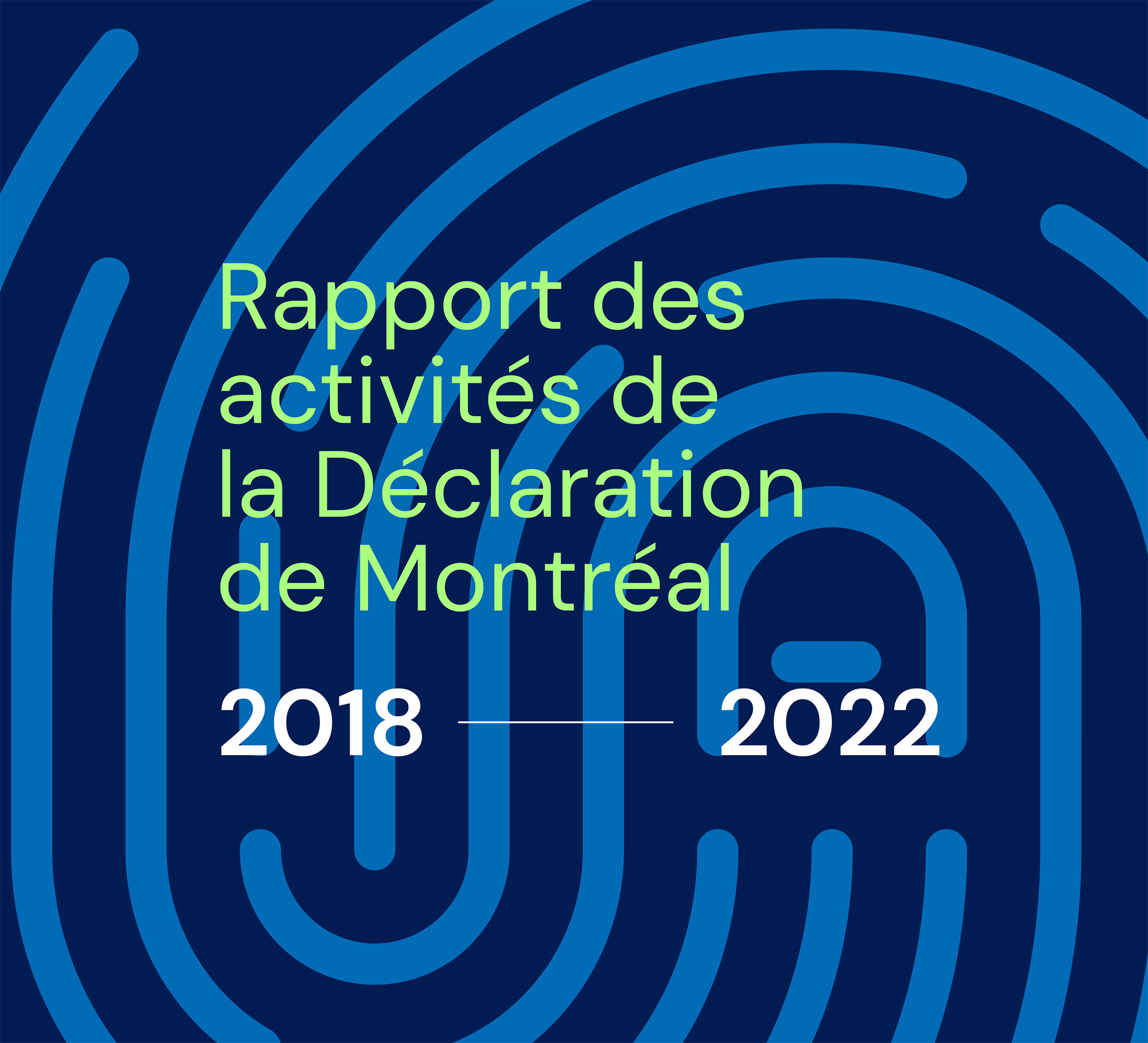 Cover Report on the activities of the Declaration